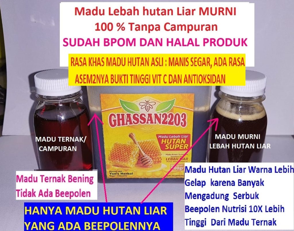 Jual Madu Asli Di Sukmajaya Murni Lebah Hutan Bukan Ternak